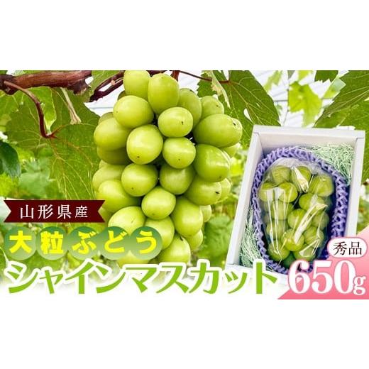 ふるさと納税 ぶどう マスカット 山形県 寒河江市 先行予約 山形県産 シャインマスカット 秀品 650g(1房) 令和8年産 2026年9月中旬頃から10月下旬頃発送予…