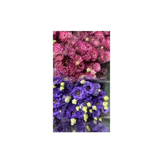 ふるさと納税 雑貨・日用品 福岡県 添田町 タカセ花園 ヒロト厳選 季節の切り花セット a0784 タカセ花園 返礼品 添田町 ふるさと納税