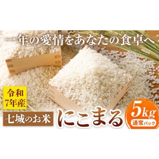 ふるさと納税 米 にこまる 熊本県 菊池市 七城のお米 にこまる 5kg 通常パッケージ 白米 精米 令和7年産 堀田農場[30日以内に出荷予定(土日祝除く)]お米 熊…
