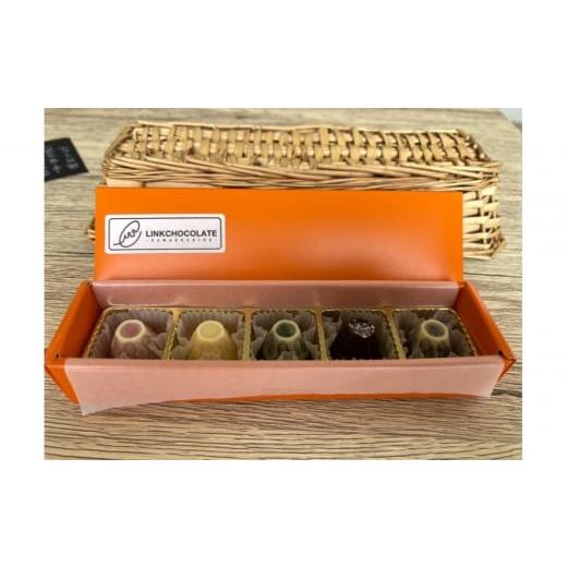 ふるさと納税 菓子 チョコレート 山梨県 富士河口湖町 fujichocolate 5種アソート 5個入り