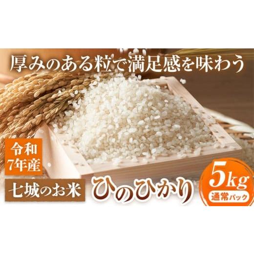 ふるさと納税 米 ヒノヒカリ 熊本県 菊池市 七城のお米 ヒノヒカリ 5kg 通常パッケージ 白米 精米 令和7年産 堀田農場[30日以内に出荷予定(土日祝除く)]お米…