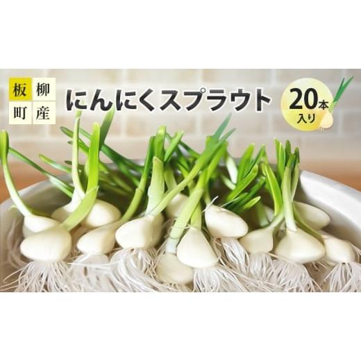 ふるさと納税 薬味・ハーブ 青森県 板柳町 にんにくスプラウト20本入り