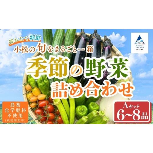 ふるさと納税 セット・詰合せ 石川県 小松市 季節の野菜詰め合わせ Aセット 野菜食べ比べ 旬の野菜 野菜セット | 石川県 小松市 Kacchan.Farm