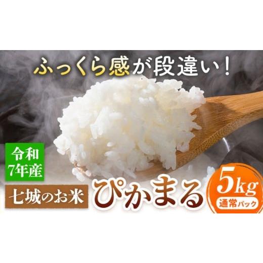 ふるさと納税 米 熊本県 菊池市 七城のお米 ぴかまる 5kg 通常パッケージ 白米 精米 令和7年産 堀田農場[30日以内に出荷予定(土日祝除く)]お米 熊本県 菊池…