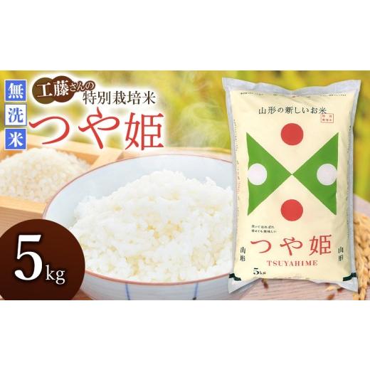 ふるさと納税 米 つや姫 山形県 鶴岡市 令和7年産 山形県庄内産 工藤さんの特別栽培米 つや姫 無洗米 5kg(5kg×1袋) 山形県鶴岡市 株式会社サンエイファー…