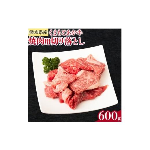 ふるさと納税 牛肉 焼肉・バーベキュー 熊本県 菊池市 GI認証取得 くまもとあか牛 焼肉用 切り落とし 300g×2パック 合計600g あか牛 切落し 牛肉 肉 国産 九…