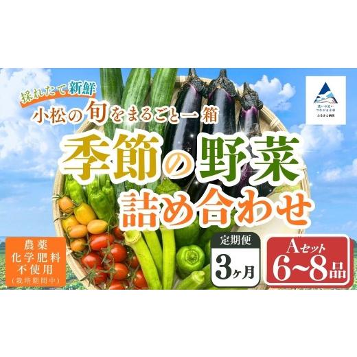 ふるさと納税 セット・詰合せ 石川県 小松市 定期便3ヶ月 季節の野菜詰め合わせ Aセット 野菜食べ比べ 旬の野菜 野菜セット定期便 | 石川県 小松市 Kacchan.F…