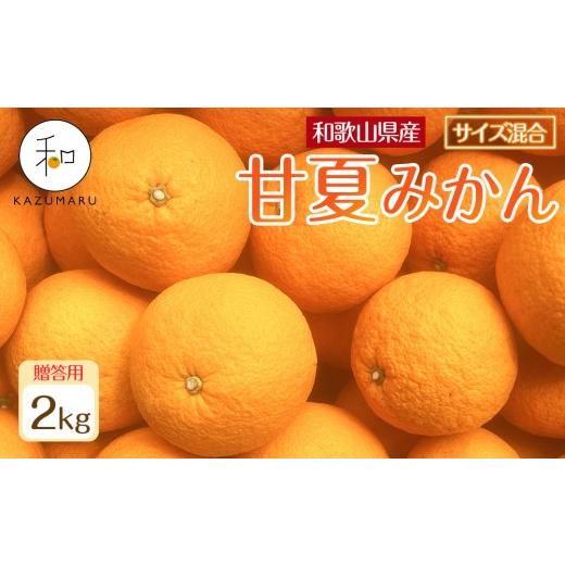 ふるさと納税 果物類 みかん 和歌山県 印南町 贈答用 森本農園の手選別 甘夏みかん 約2kg 和歌山県産 サイズ混合 [北海道・沖縄・離島配送不可][2027年4月…