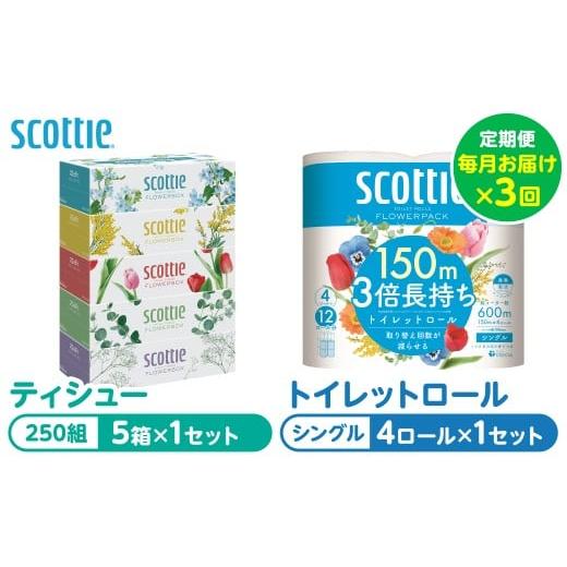 ふるさと納税 雑貨・日用品 熊本県 八代市 定期便3回 毎月お届け スコッティ 組み合わせ ティシュー フラワーボックス 250組 5箱 計15箱 トイレットロール シ…