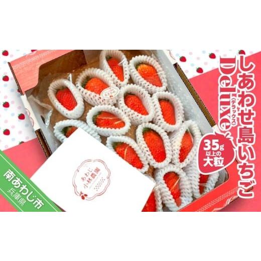 ふるさと納税 いちご 兵庫県 南あわじ市 しあわせ島いちごデラックス(DX)
