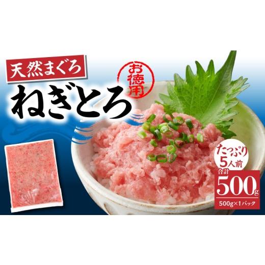 ふるさと納税 マグロ 神奈川県 三浦市 神奈川県漁連 お徳用 天然まぐろ ねぎとろ 500g 6月お届け M077-011-01-06 6月お届け