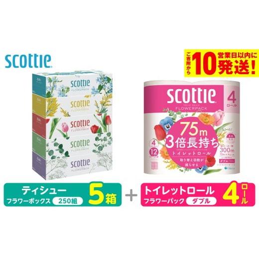 ふるさと納税 雑貨・日用品 熊本県 八代市 スコッティ 組み合わせ ティシュー フラワーボックス 250組 5箱 トイレットロール ダブル フラワーパック 3倍長持…