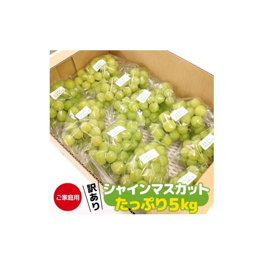 ふるさと納税 ぶどう マスカット 山形県 寒河江市 先行予約 [ご家庭用]令和8年産 訳ありシャインマスカット たっぷり5kg (8〜12房)山形県産 2026年産 20…