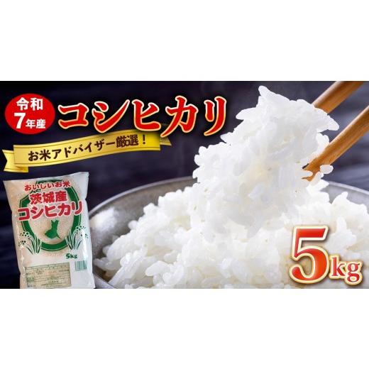 ふるさと納税 米 コシヒカリ 茨城県 城里町 最短3〜7営業日出荷 コシヒカリ 精米 5kg 令和7年産 産地直送 茨城県 城里町 精白米 米 ご飯 こしひかり 米 白米 …