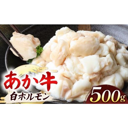 ふるさと納税 牛肉 ホルモン 熊本県 玉名市 あか牛 白 ホルモン 計500g (250g×2P) | 肉 にく お肉 おにく 牛 あか牛 ホルモン 白ホルモン 熊本県 玉名市 あか…
