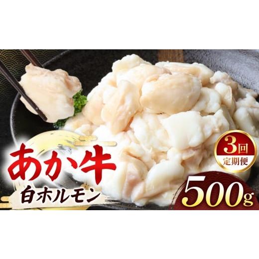 ふるさと納税 牛肉 ホルモン 熊本県 玉名市 定期便 3回 あか牛 白 ホルモン 計500g (250g×2P) | 肉 にく お肉 おにく 牛 あか牛 ホルモン 白ホルモン 熊本県…