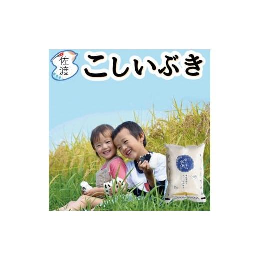 ふるさと納税 米 新潟県 佐渡市 食の宝島佐渡 佐渡島産こしいぶき 白米2Kg(2Kg×1袋) 令和7年産