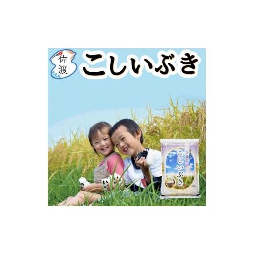 ふるさと納税 無洗米 新潟県 佐渡市 佐渡島産こしいぶき 無洗米20kg(5Kg×4袋） 令和7年産 食の宝島佐渡_1