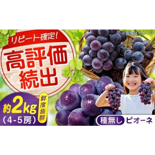 ふるさと納税 果物類 ぶどう 広島県 福山市 期間限定/8月下旬〜9月上旬頃発送 沼隈ぶどう「 ピオーネ 」 約2kg 4〜5房( 種なし ) 広島県福山市/福山市農…