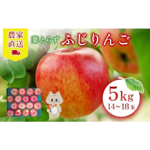 ふるさと納税 りんご 宮城県 丸森町 先行予約 [2026年12月上旬〜12月下旬出荷]宮城県丸森町産 葉とらずふじりんご 14〜18個入り(約5kg) 1箱 | ふじり…