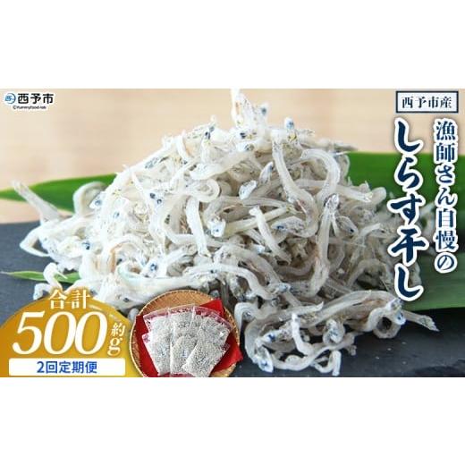 ふるさと納税 魚貝類 しらす 愛媛県 西予市 漁師さん自慢のしらす干し 合計500g 2回定期便 定期便 シラス 魚介類 さかな 海産物 海鮮 海の幸 小分け 国産 ご…