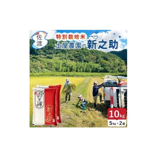 ふるさと納税 米 新潟県 佐渡市 佐渡島産新之助 無洗米10Kg(5Kg×2袋) 土屋農園 特別栽培米 令和7年産 食の宝島佐渡