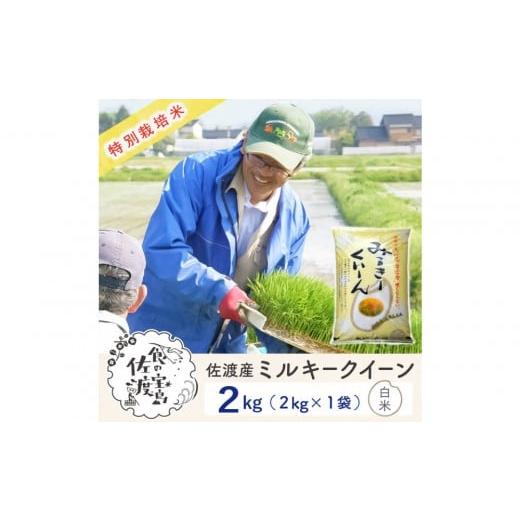 ふるさと納税 米 ミルキークイーン 新潟県 佐渡市 佐渡島産ミルキークイーン 白米2Kg 令和7年産 特別栽培米