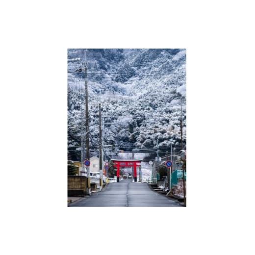 ふるさと納税 家具 奈良県 天理市 天理の風景6『 THE GATE 』A4メタルグラフィックアート 1714822