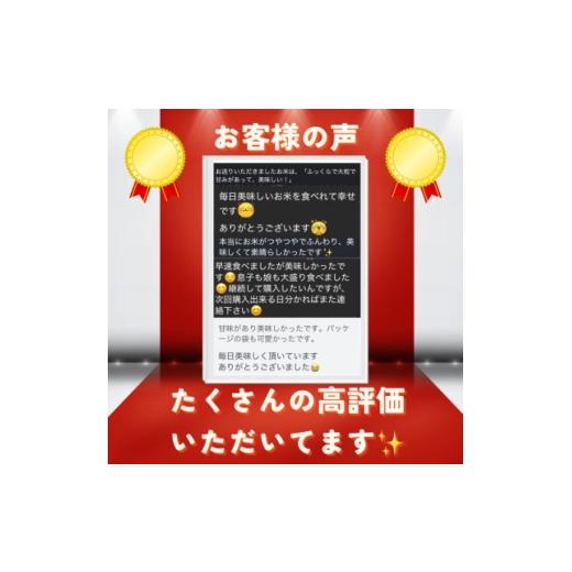 ふるさと納税 米 京都府 与謝野町  令和7年産米 京都府与謝野町産 丹後コシヒカリ 精米20kg 特別栽培米 京の豆っこ米 1713764の画像
