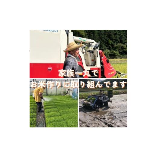 ふるさと納税 米 京都府 与謝野町  令和7年産米 京都府与謝野町産 丹後コシヒカリ 精米20kg 特別栽培米 京の豆っこ米 1713764の画像