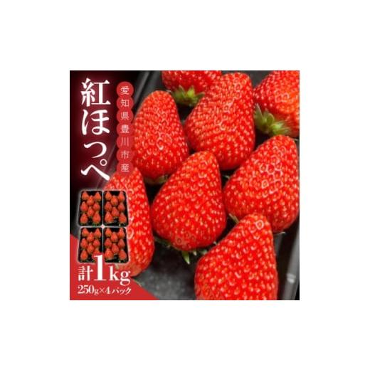 ふるさと納税 いちご 愛知県 豊川市 発送月固定定期便 紅ほっぺ 250g×4パック 全3回 4078489
