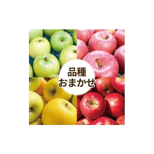 ふるさと納税 りんご 青森県 青森市 訳あり 青森県産りんご 品種おまかせ お試しサイズ 約2kg 1716456