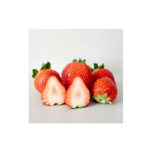 ふるさと納税 いちご 栃木県 小山市 とちあいか ギフト大粒 9粒入り×1箱 1701970