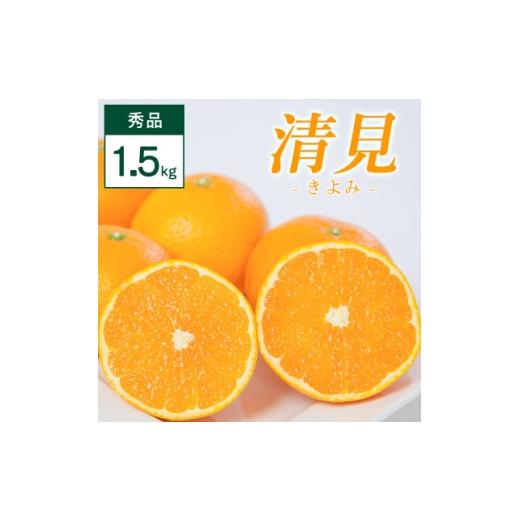 ふるさと納税 みかん・柑橘類 愛媛県 八幡浜市 3/17受付終了_清見 1.5kg 愛媛県 八幡浜市 西宇和地区 柔らかい果肉 C25-350 1716853