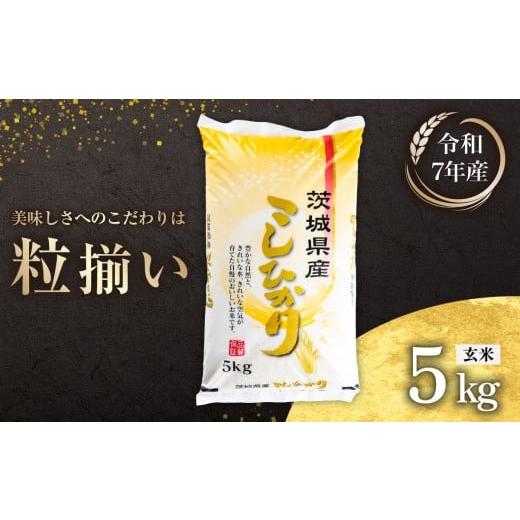 ふるさと納税 米 コシヒカリ 茨城県 下妻市 4月発送 玄米 コシヒカリ 5kg 茨城県下妻市産 お米 米 ご飯 こめ コシヒカリ 令和7年産 茨城県産 4月発送 玄米コ…