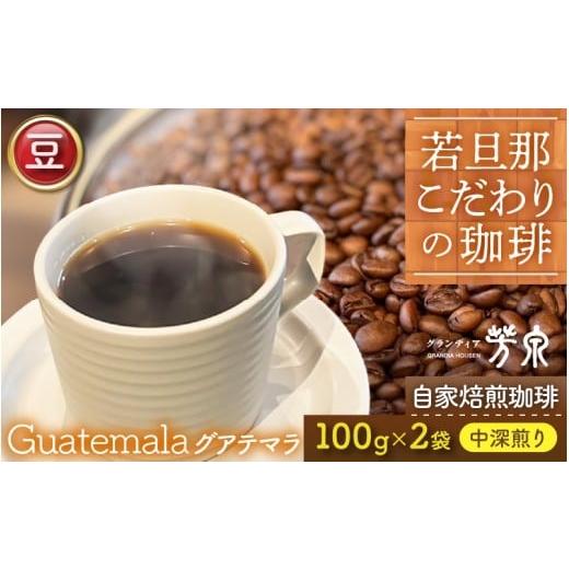 ふるさと納税 コーヒー コーヒー豆 福井県 あわら市 豆タイプ Caf?だいな荘 自家焙煎コーヒーグアテマラ グランディア芳泉若旦那こだわりの珈琲 aw014-a003_…