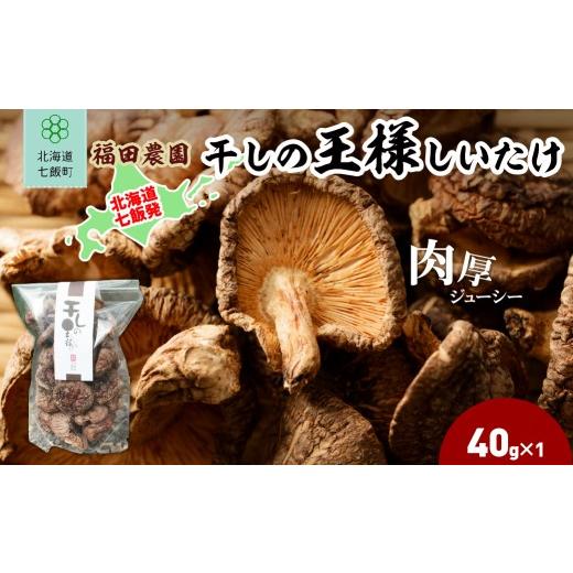 ふるさと納税 乾物 干ししいたけ 北海道 七飯町 干しの王様しいたけ 40g×1袋 ふるさと納税 人気 おすすめ ランキング しいたけ 王様 王様しいたけ 干しの王様…