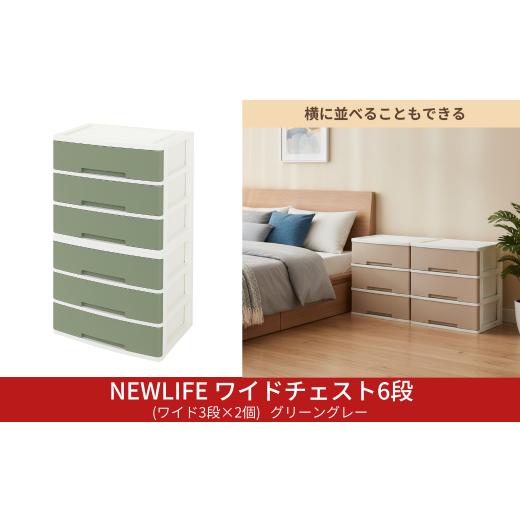 ふるさと納税 家具 収納家具 新潟県 三条市 NEWLIFE ワイドチェスト 6段 (ワイド3段×2個) 幅60cm グリーングレー 収納ケース 衣装ケース プラスチック 新生活…