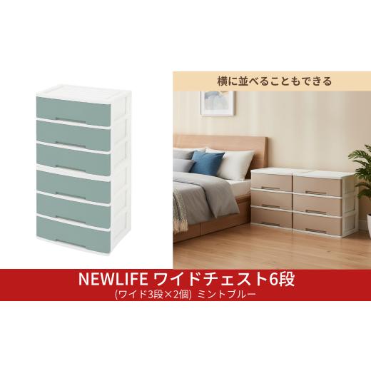 ふるさと納税 家具 収納家具 新潟県 三条市 NEWLIFE ワイドチェスト 6段 (ワイド3段×2個) 幅60cm ミントブルー 収納ケース 衣装ケース プラスチック 新生活 …