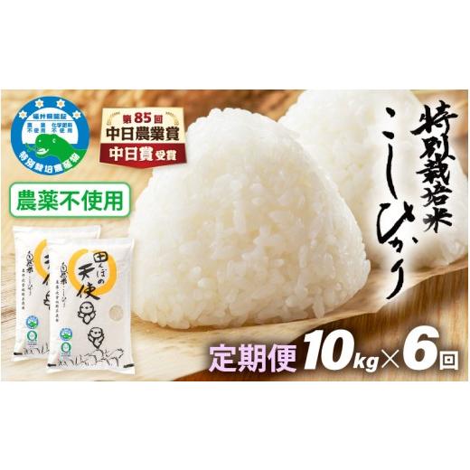 ふるさと納税 米 コシヒカリ 福井県 越前町 中日賞受賞 [6ヶ月定期便]農薬不使用こしひかり 10kg(5kg×2袋)×6ヶ月連続 計60kg 特別栽培米コシヒカリ 精…