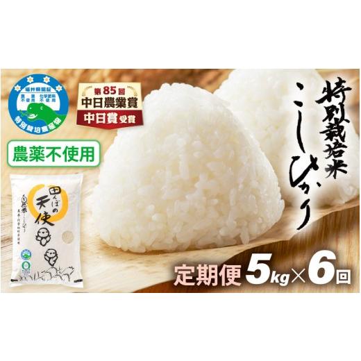 ふるさと納税 米 コシヒカリ 福井県 越前町 中日賞受賞 [6ヶ月定期便]農薬不使用 こしひかり 5kg×6ヶ月連続 計30kg 特別栽培米コシヒカリ 精米 福井県認証…