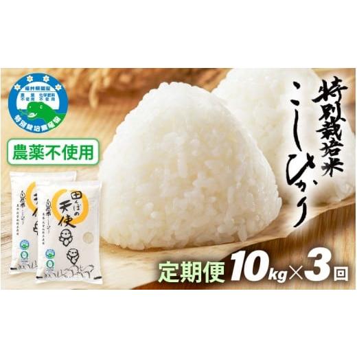 ふるさと納税 米 コシヒカリ 福井県 越前町 [3ヶ月定期便]農薬不使用 こしひかり 10kg(5kg×2袋)×3ヶ月連続 計30kg 令和7年産 特別栽培米コシヒカリ 精米…