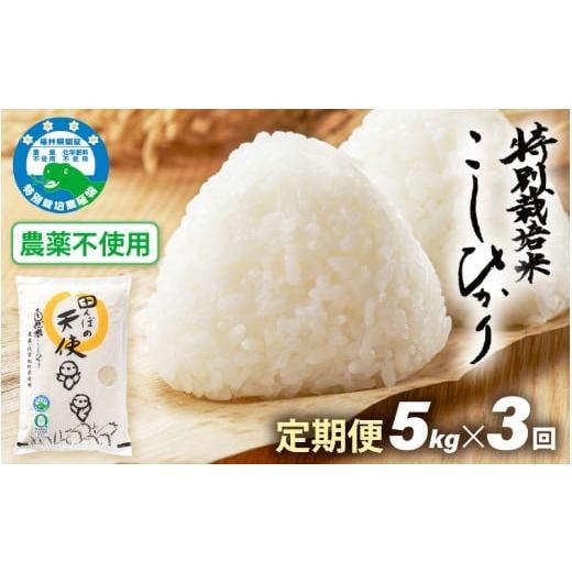 ふるさと納税 米 コシヒカリ 福井県 越前町 [3ヶ月定期便]農薬不使用 こしひかり 5kg×3ヶ月連続 計15kg 令和7年産 特別栽培米コシヒカリ 精米 福井県認証区…