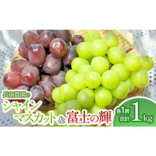 ふるさと納税 ぶどう マスカット 山形県 鶴岡市 令和8年産先行予約 シャインマスカットと富士の輝 各1房 約1kg 山形県鶴岡市産 長南農園