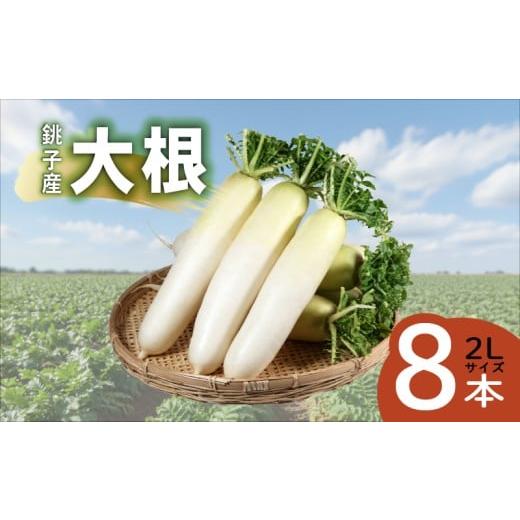 ふるさと納税 野菜類 大根 千葉県 銚子市 大根 8本 だいこん 旬の食材 やさい 野菜 大容量 新鮮 フレッシュ野菜 産地直送 農家直送 大根サラダ サラダ料理 大…