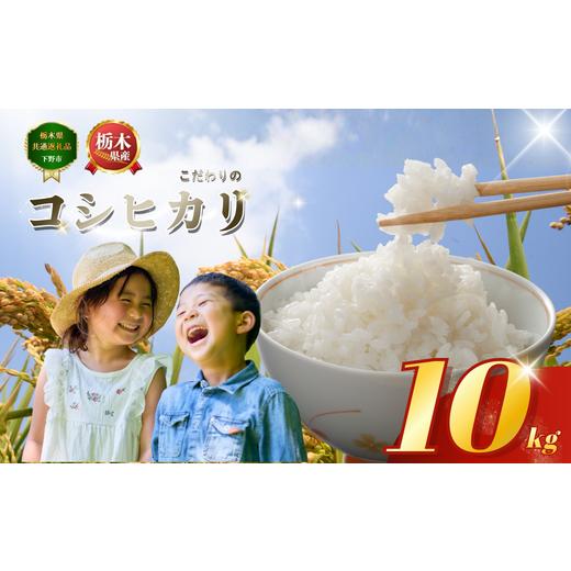 ふるさと納税 米 コシヒカリ 栃木県 下野市 コシヒカリ こしひかり 約10kg 米 お米 こめ コメ | もちもち 白米 ごはん ご飯 おすすめ 小分け 人気 おいしい お…