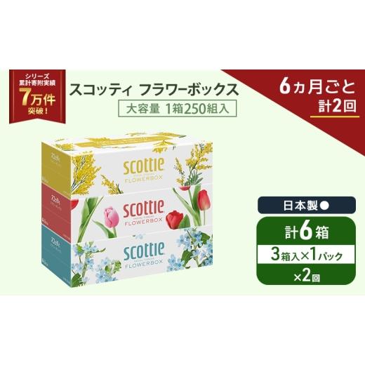ふるさと納税 雑貨・日用品 宮城県 岩沼市 定期便 ティッシュ スコッティ フラワーボックス 3箱 × 1 パック[ 6ヶ月ごと計 2回 ]ティッシュセット No.5704-2…