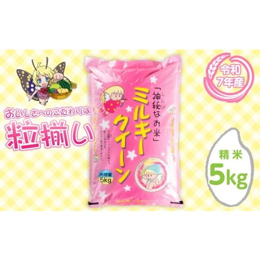 ふるさと納税 米 ミルキークイーン 茨城県 下妻市 4月発送 精米 ミルキークイーン 5kg 茨城県下妻市産 お米 米 白米 ご飯 こめ ミルキークイーン 令和7年産 …