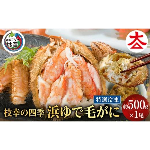 ふるさと納税 カニ 毛ガニ 北海道 枝幸町 枝幸の四季 浜ゆで毛がに 約500g×1尾[枝幸海産]流氷 海明け カニ 蟹 毛ガニ 毛がに 毛蟹 浜ゆで 浜茹で 冷凍 北海…