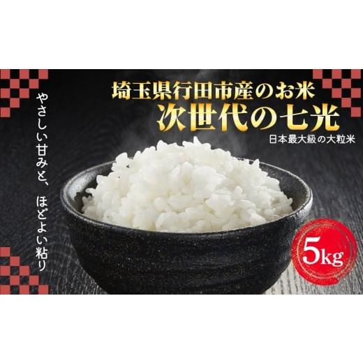 ふるさと納税 米 埼玉県 行田市 埼玉県行田市産のお米 次世代の七光 5kg 未検査米 精米 / 米 5kg 白米 精米 国産米 未検査米 大粒 食べごたえ ふっくら …